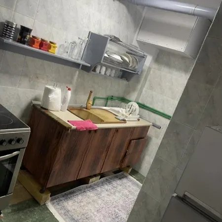 Downtown Apartament Διαμέρισμα Πόγραδετς